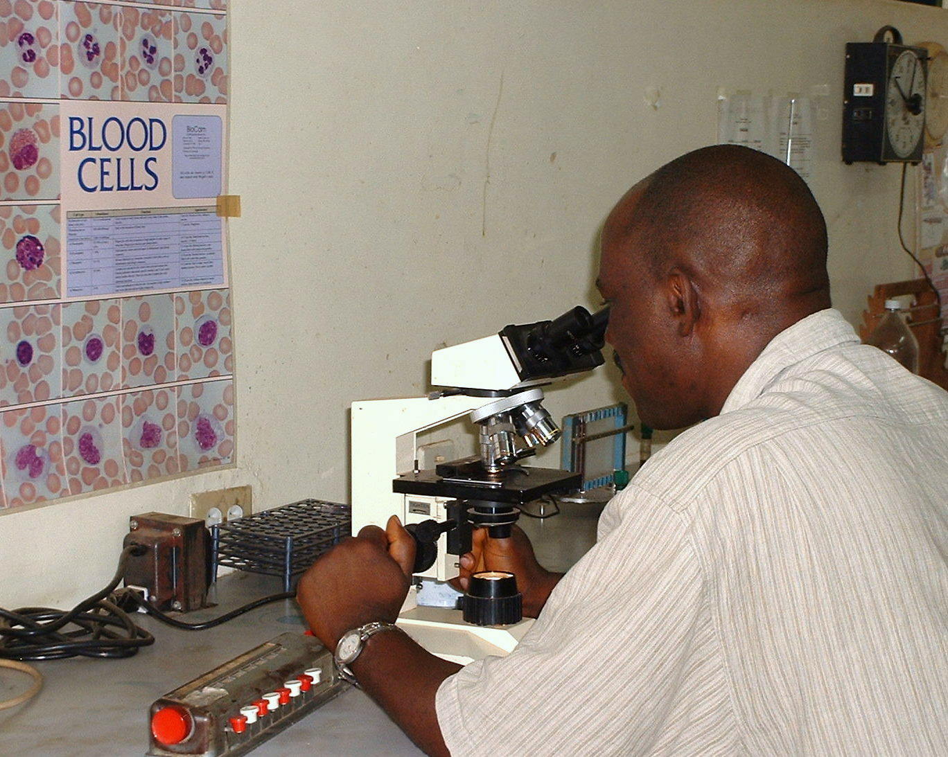 A laboratory professional examining a sample through a microscope
